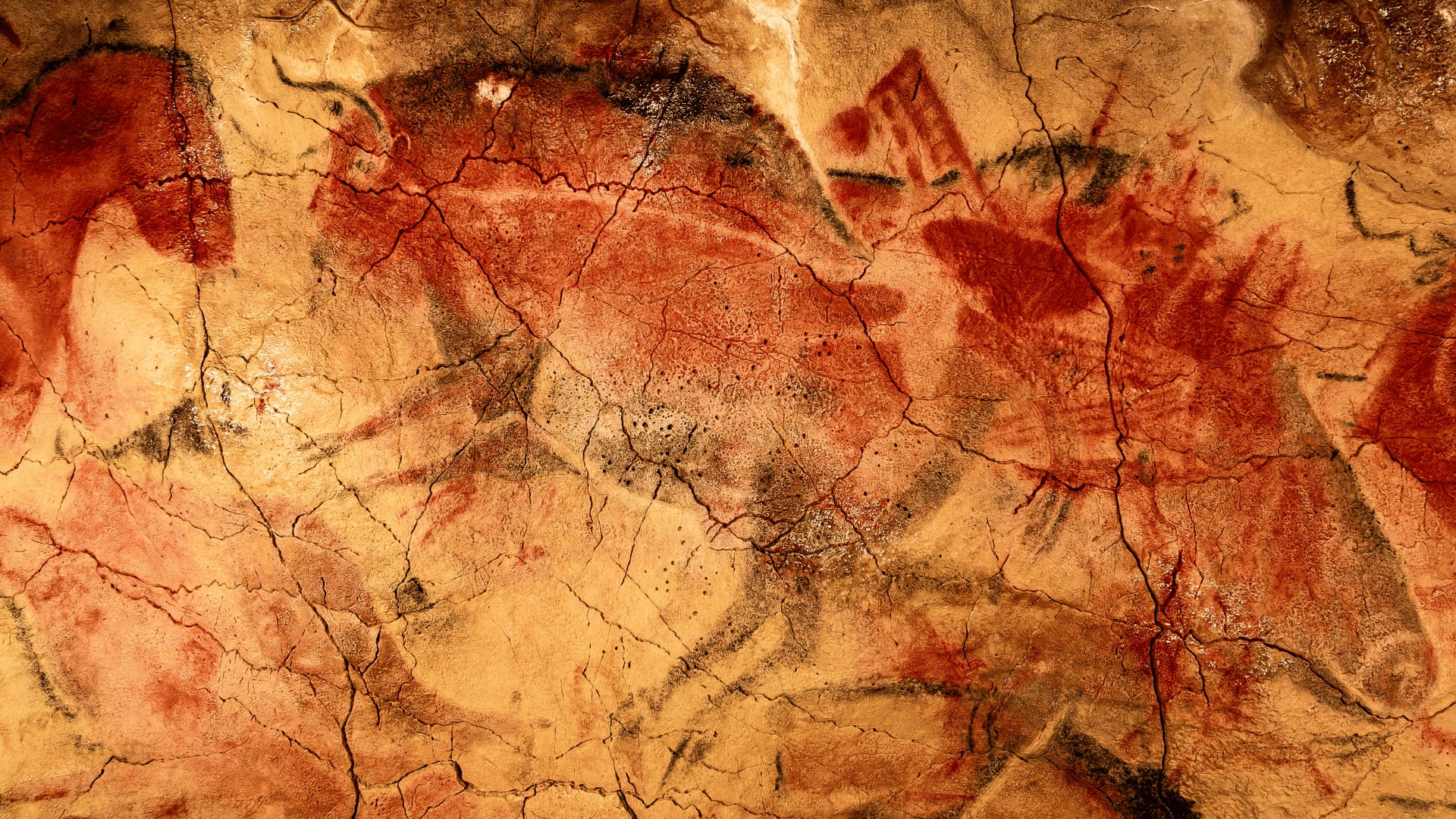 cuevas de altamira part of iberian art