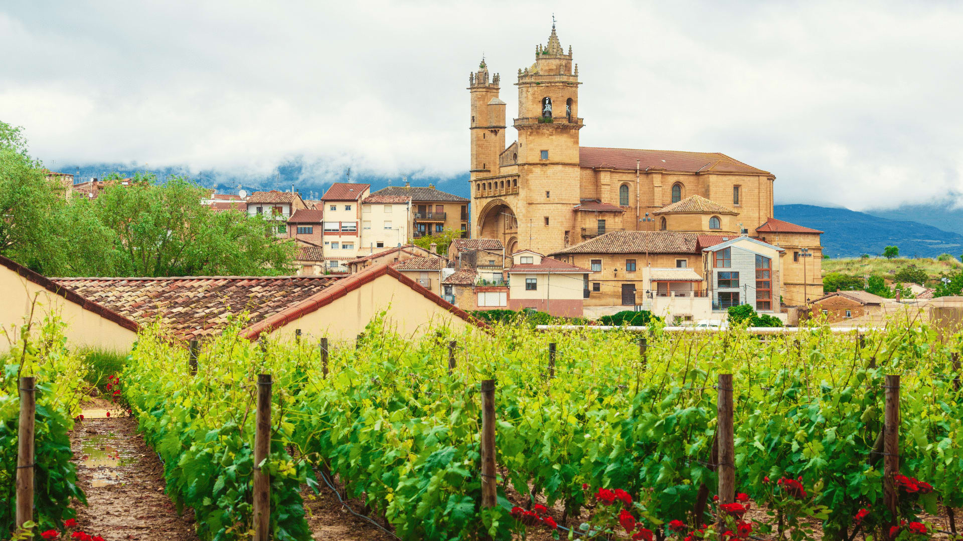 la rioja culture