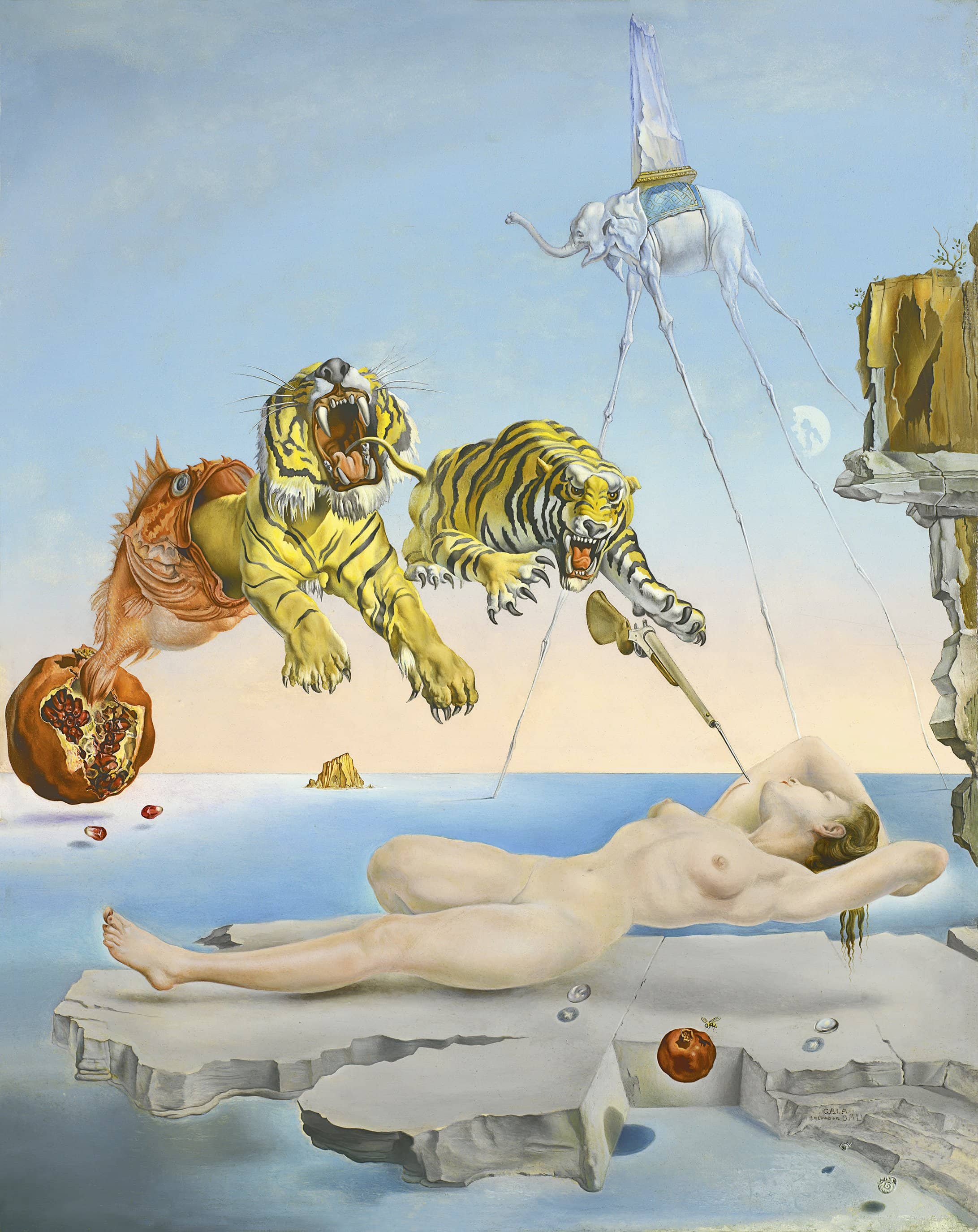 Painting by Dalí Dream Caused by the Flight of a Bee