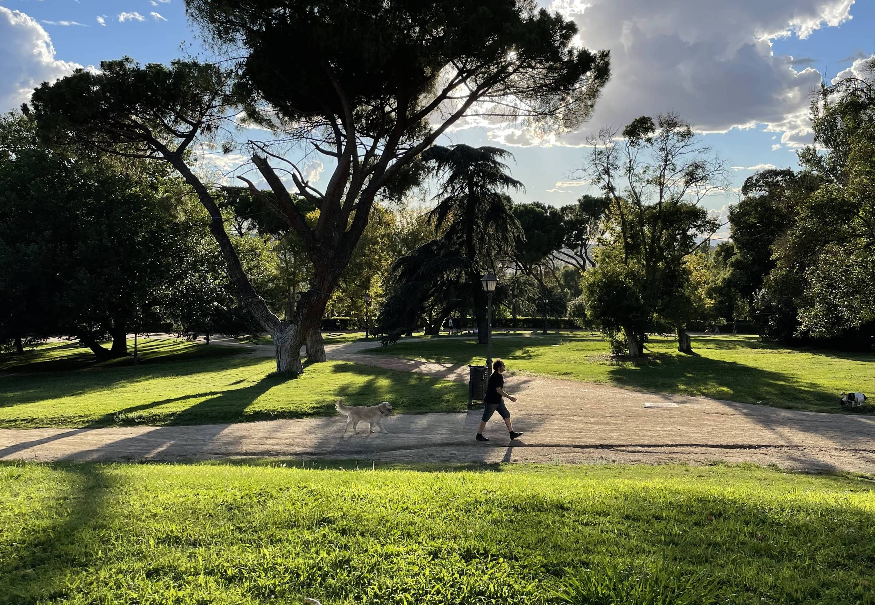 Have a date in the park in Spain