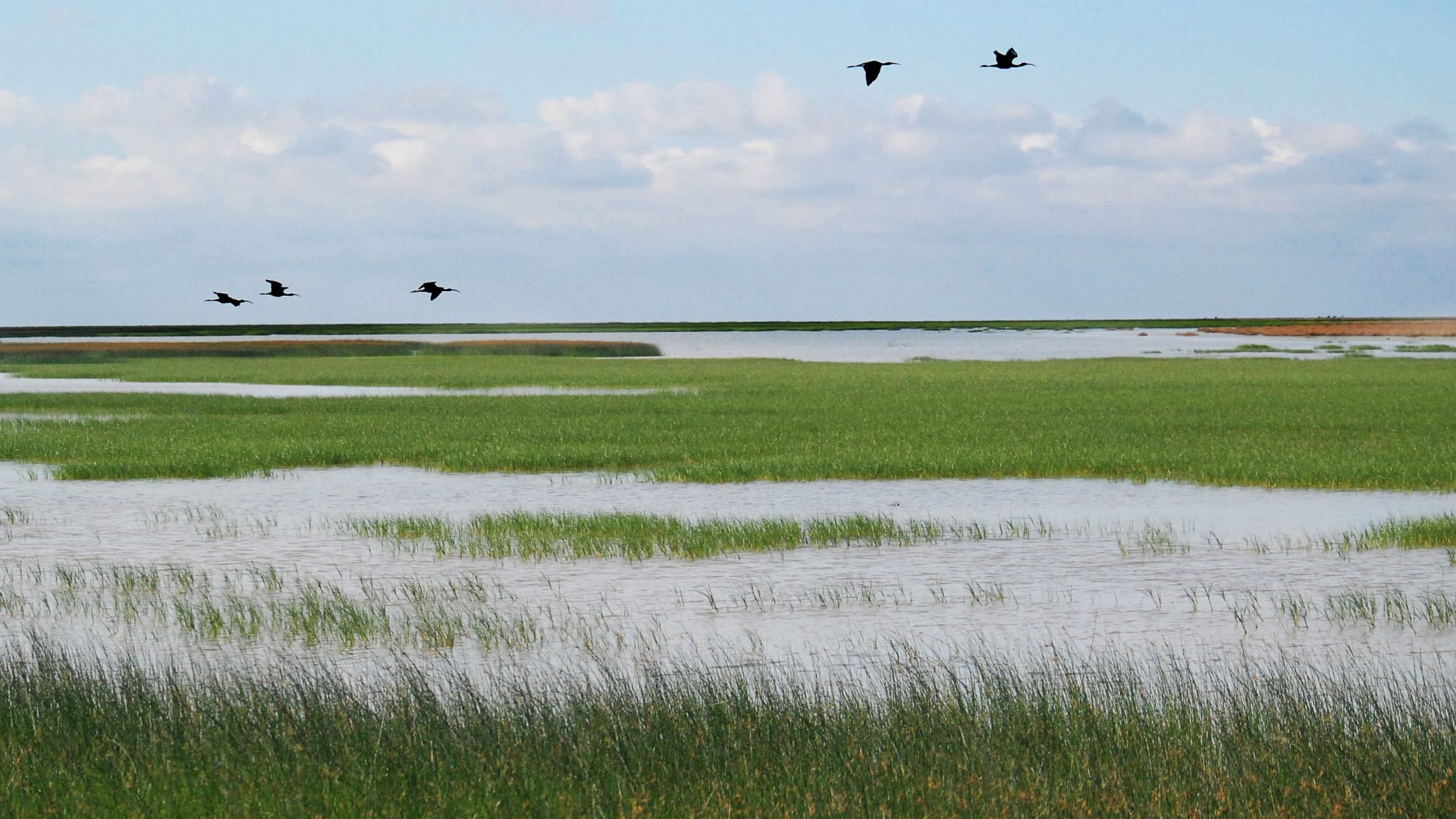 Doñana National Park