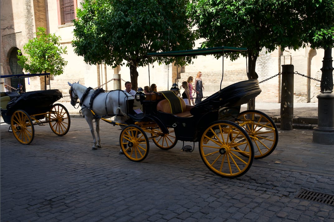 seville horse ride plaza espana