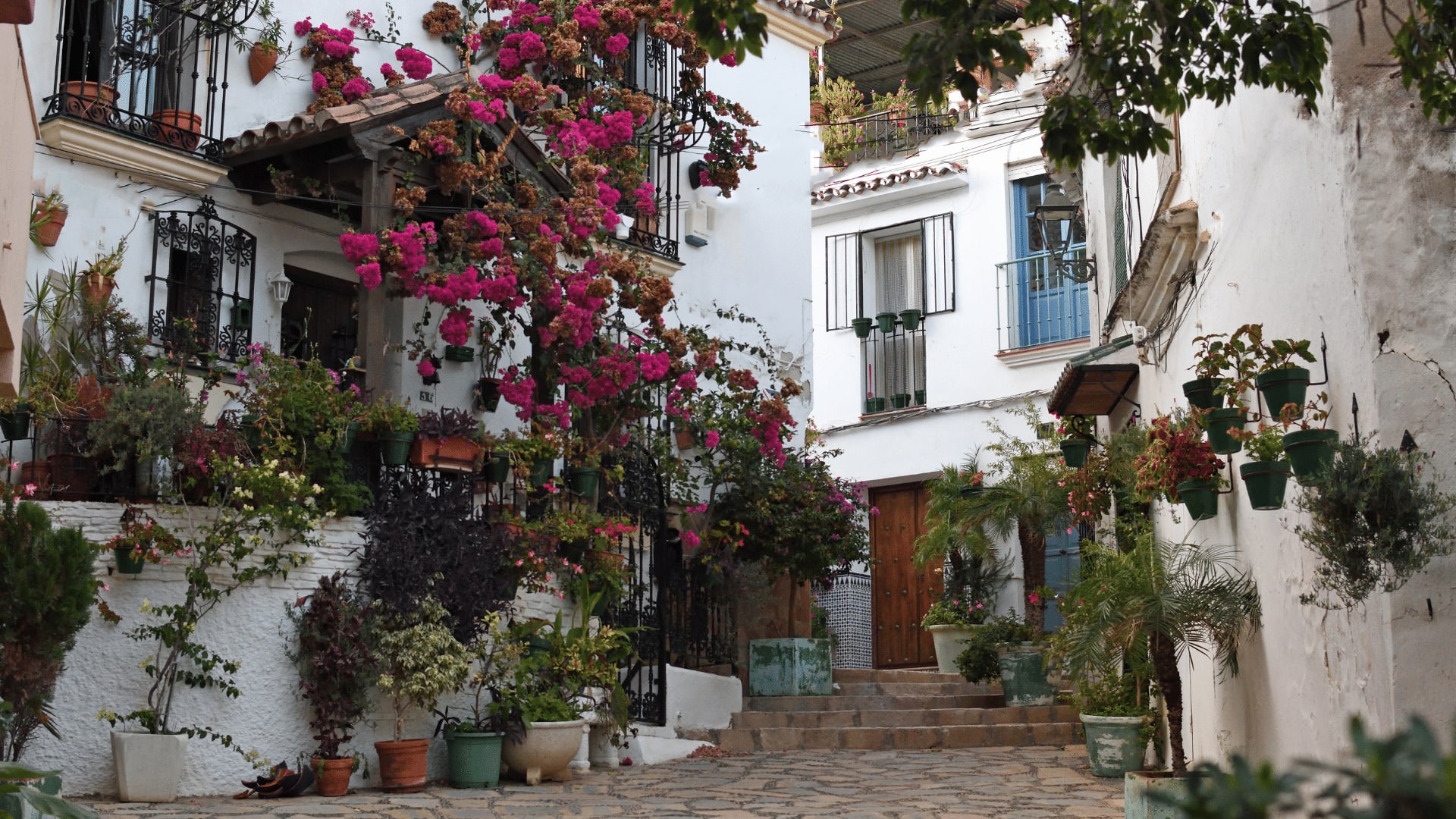 Estepona town