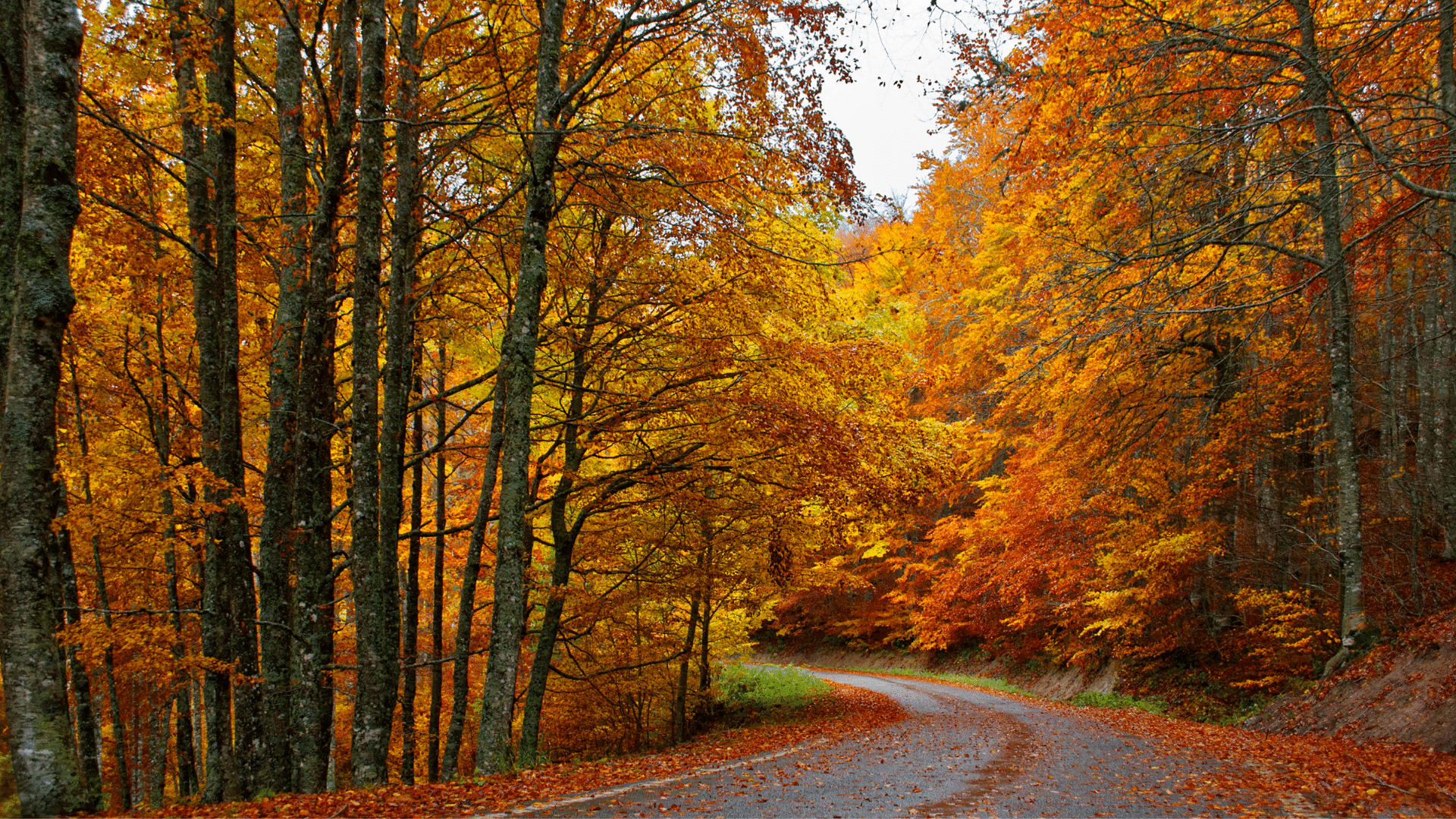 fall in spain