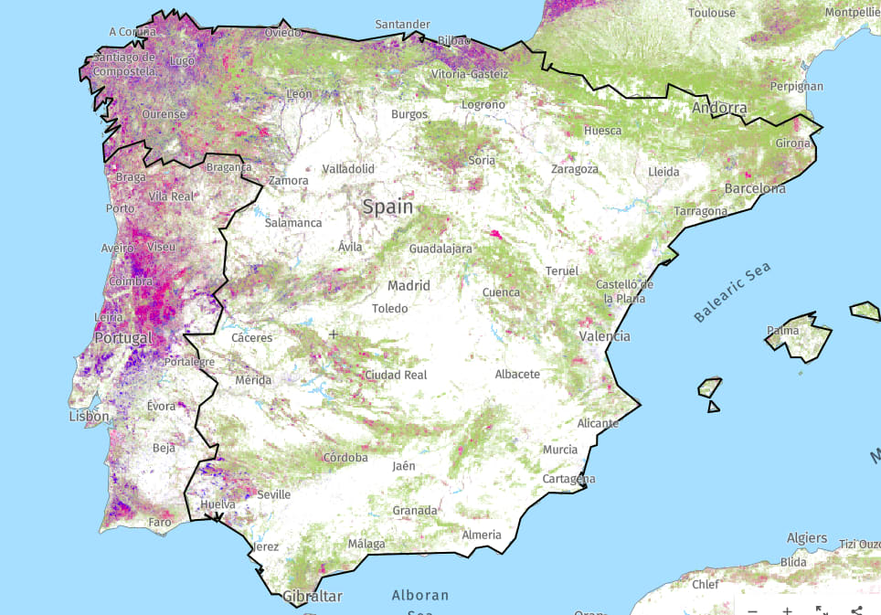 Forest map of Spain