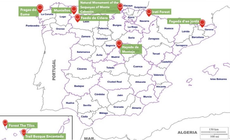 Map Forests Spain