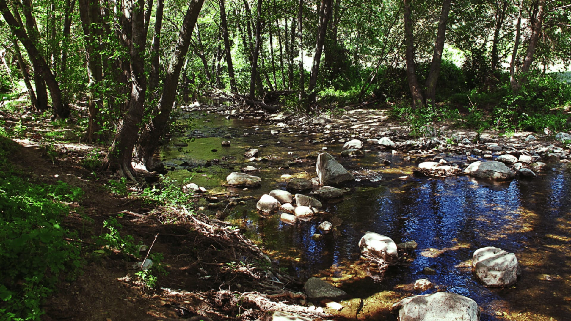 guadalixmadrid