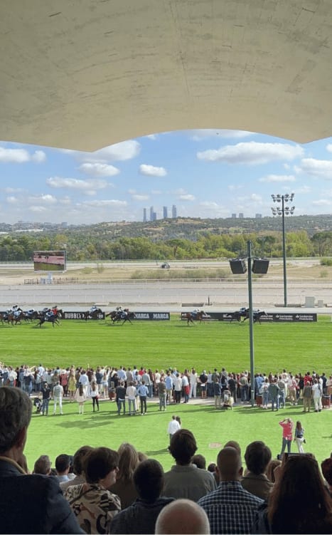 hipodromo-zarzuela-madrid-horserace