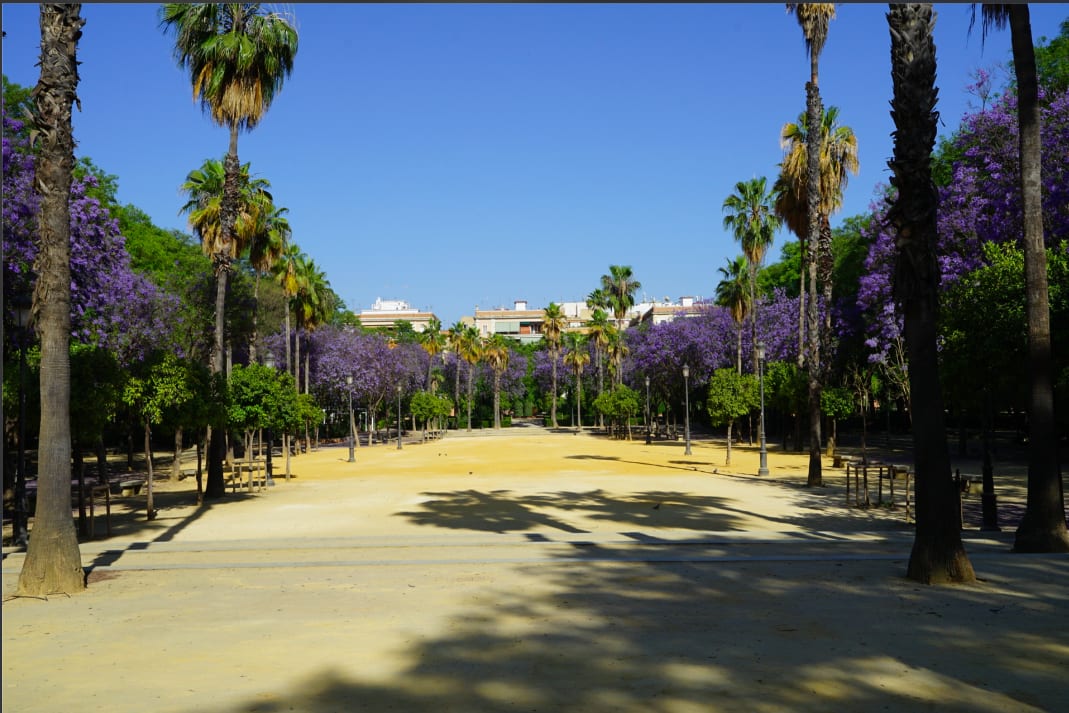 Picture of the Prado of San Sebastian gardens in Seville