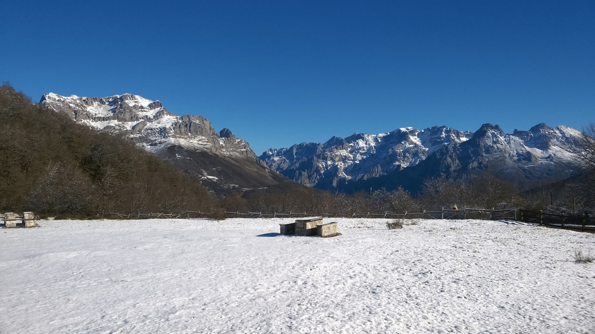 leonnieve