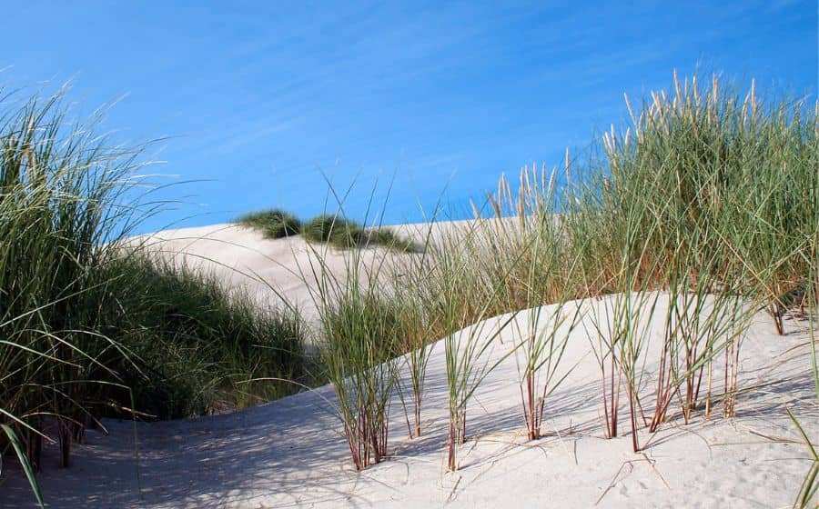 Liencres