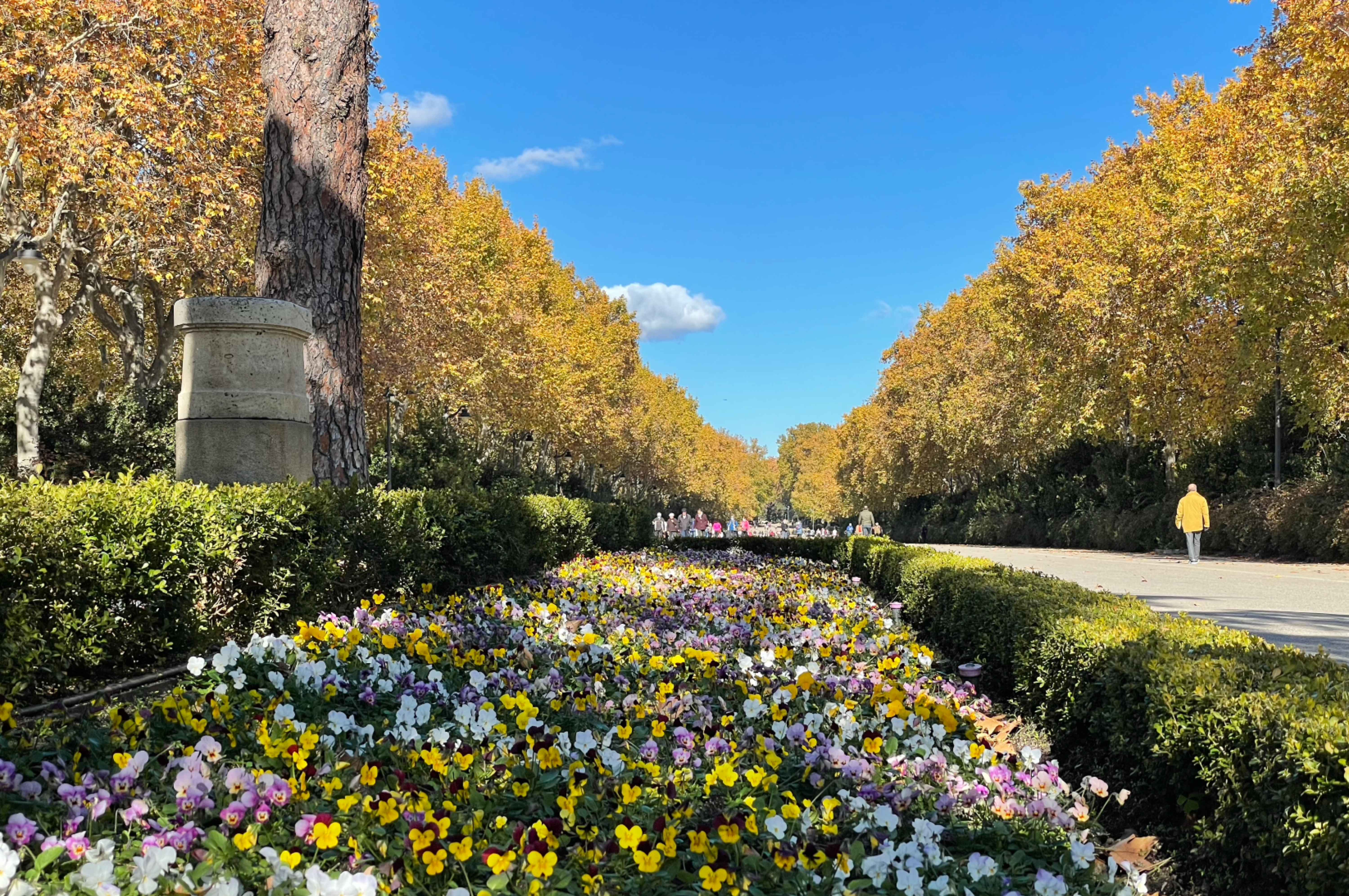 retiro madrid
