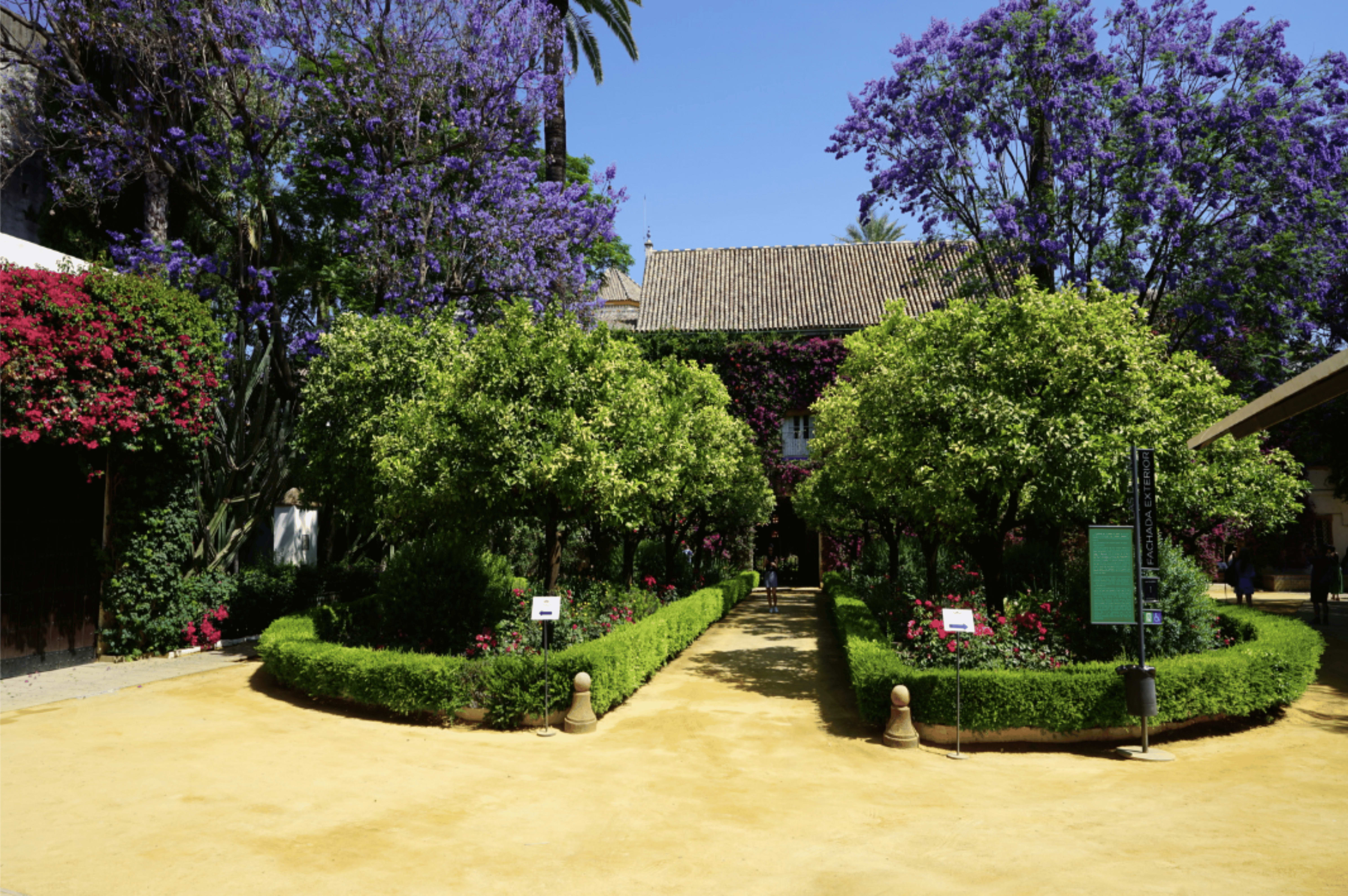 Picture of Las Duenas Palace gardens