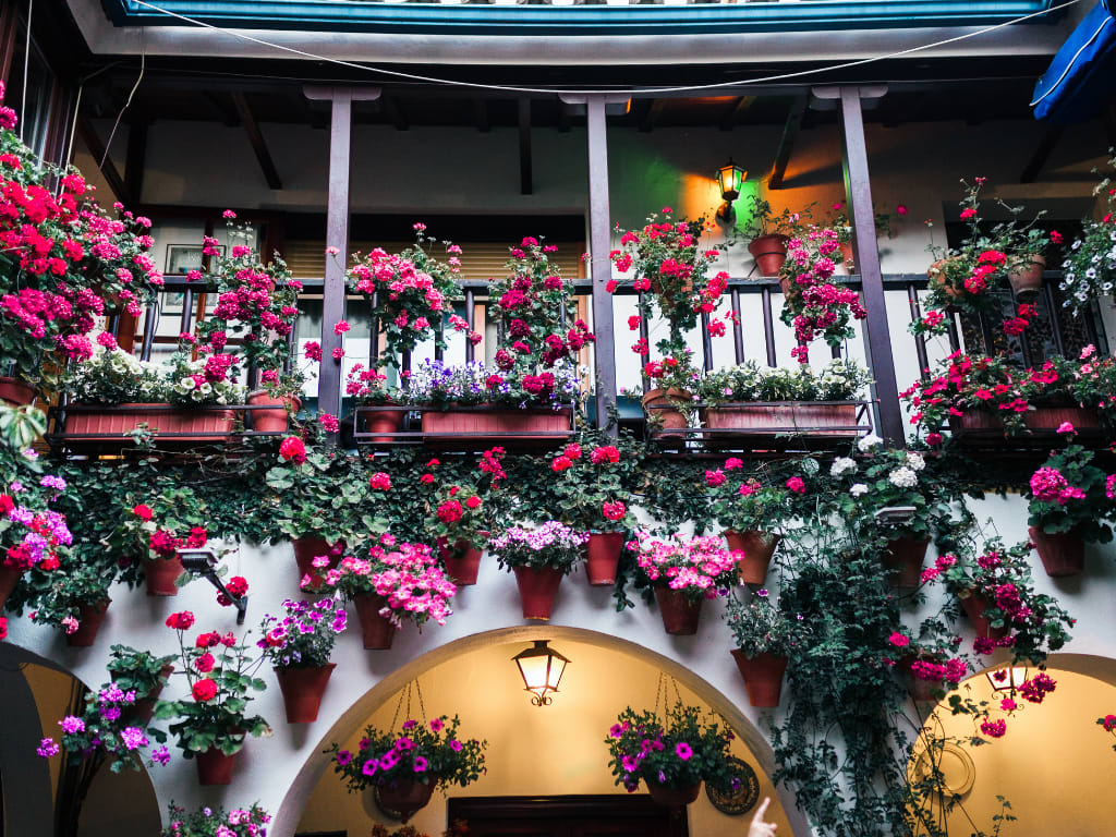 Patios de cordoba festival in Spain