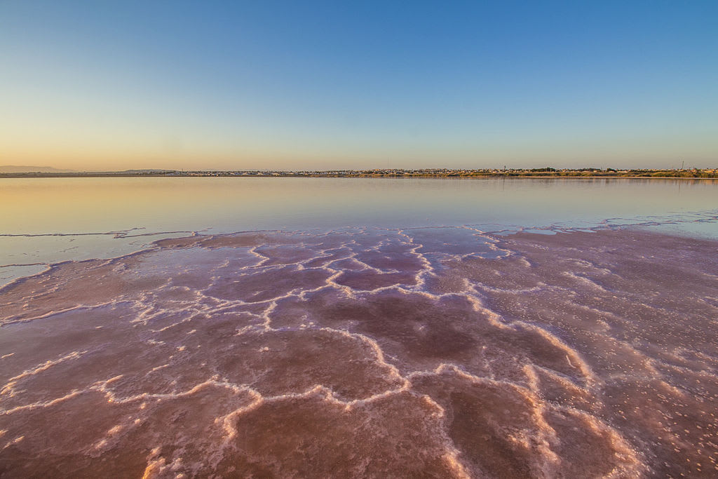 The Pink Lake of Torrevieja