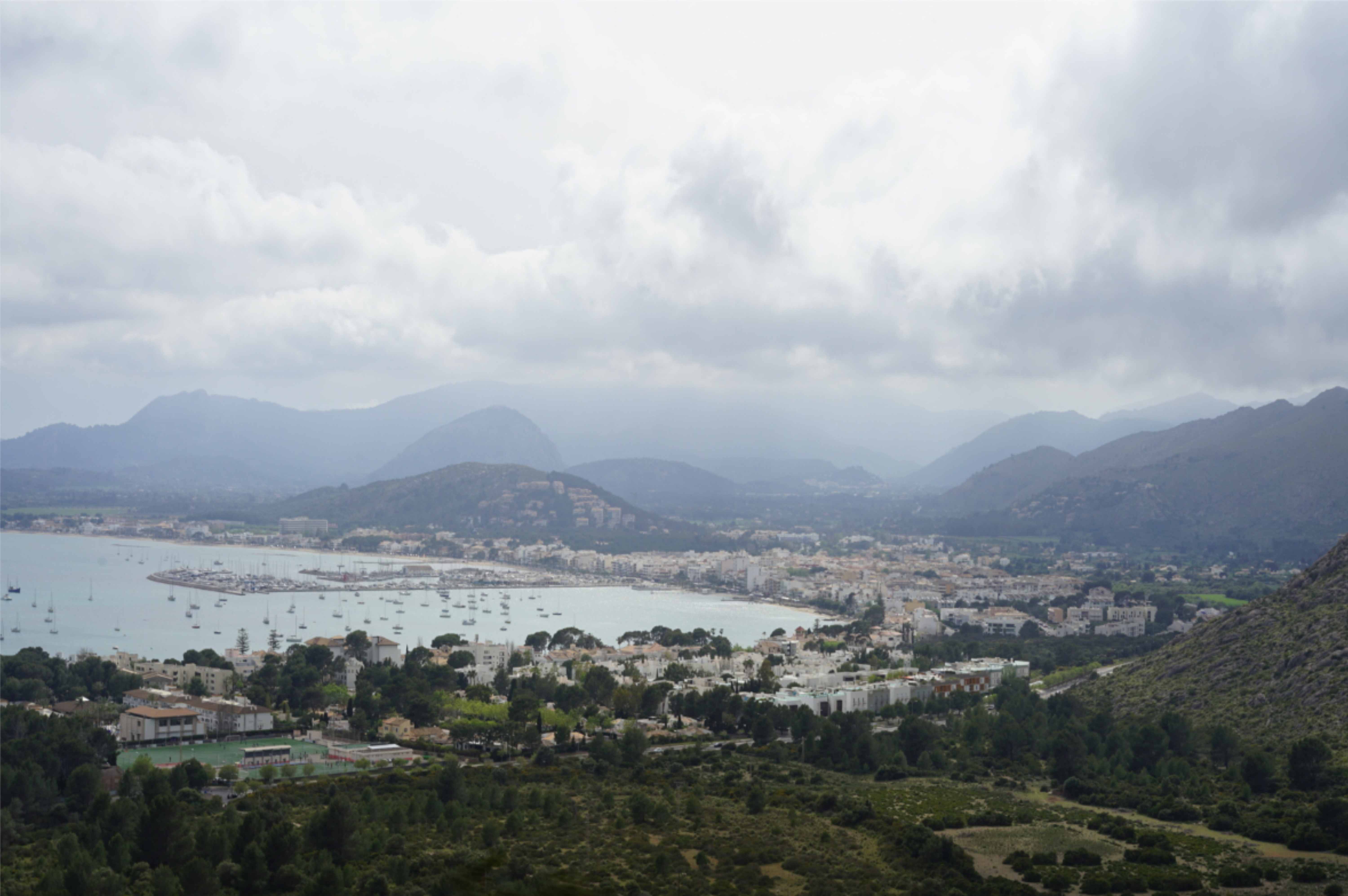 Pollenca mallorca