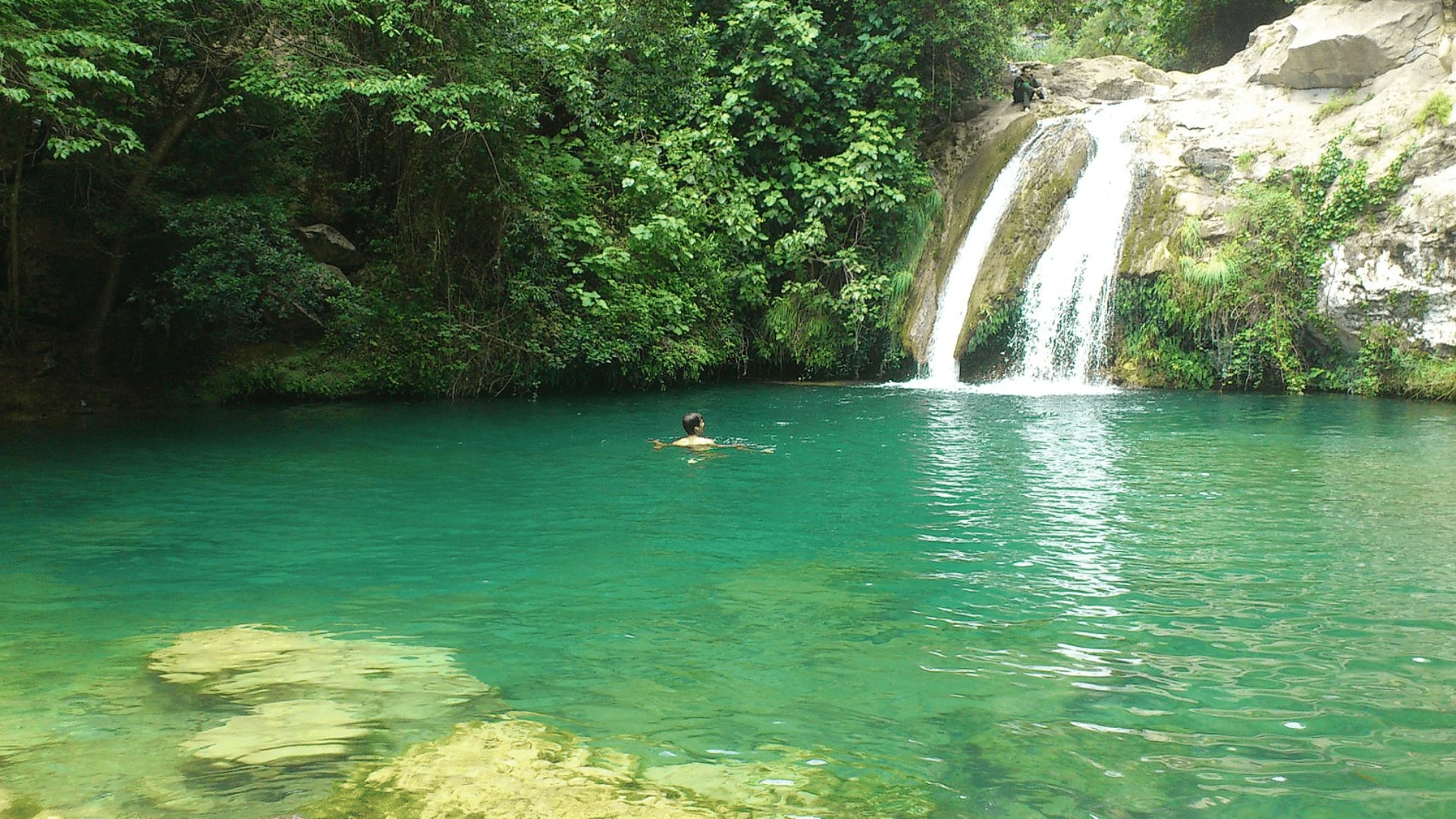 rierademerlesriver