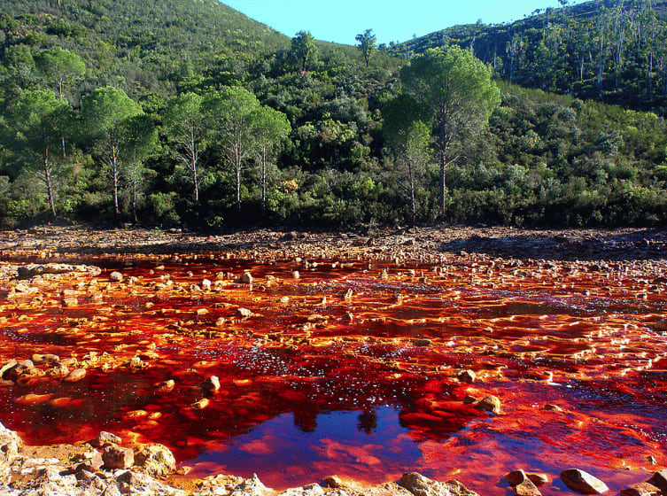 rio tinto tours