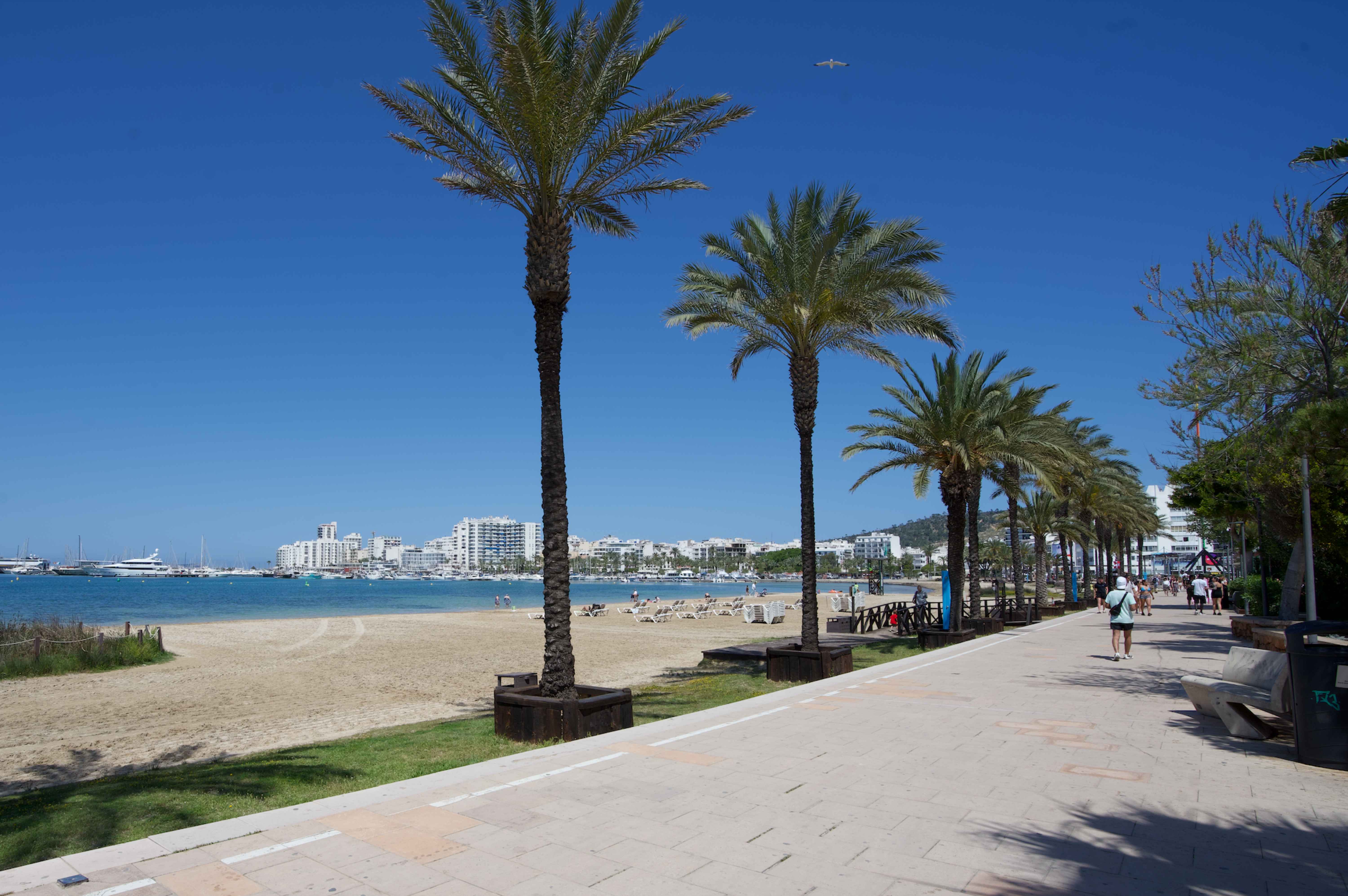 sant antoni de portmany ibiza spain