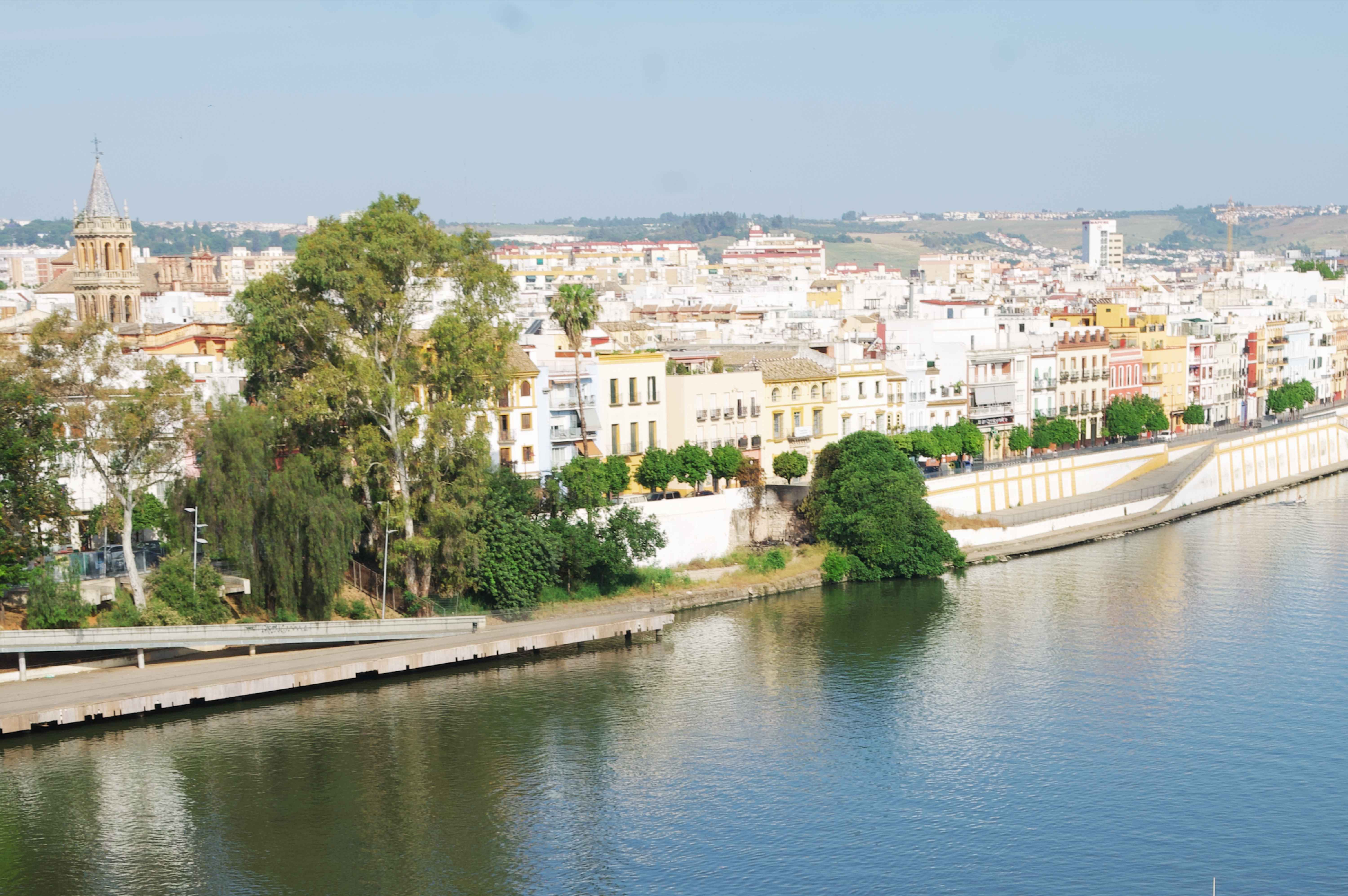 seville barrio de triana from above