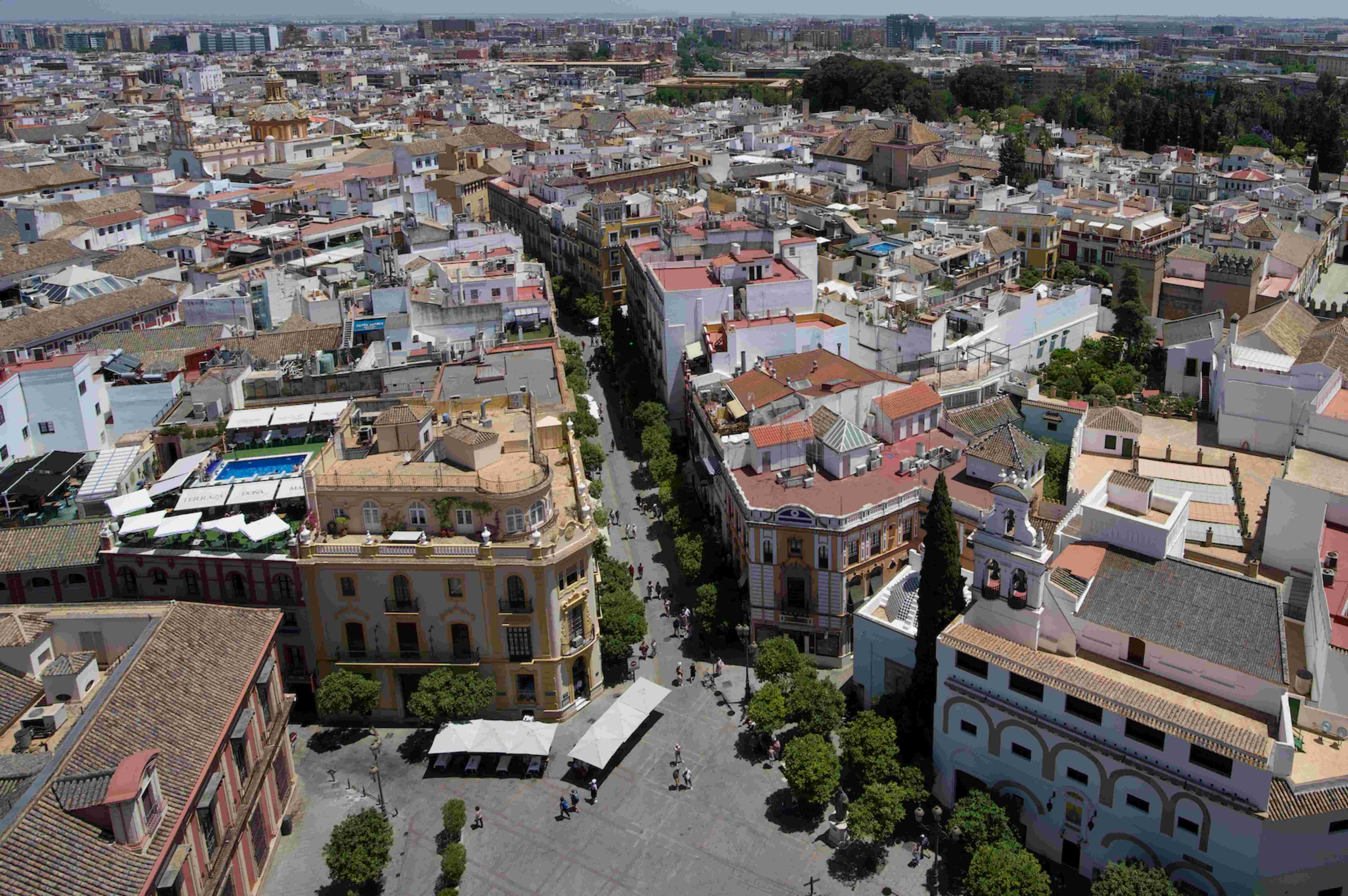 view from catedral de sevilla