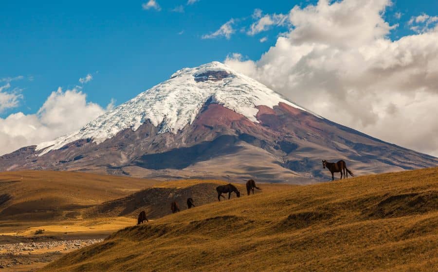 The 16 Spanish National Parks and Their Breathtaking Views Thumbnail