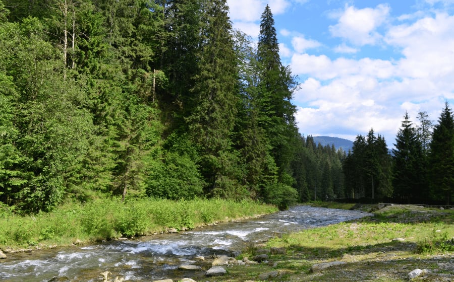 Nature in Spain: 21 Spectacular Wonders + Its Native Fauna & Flora Thumbnail