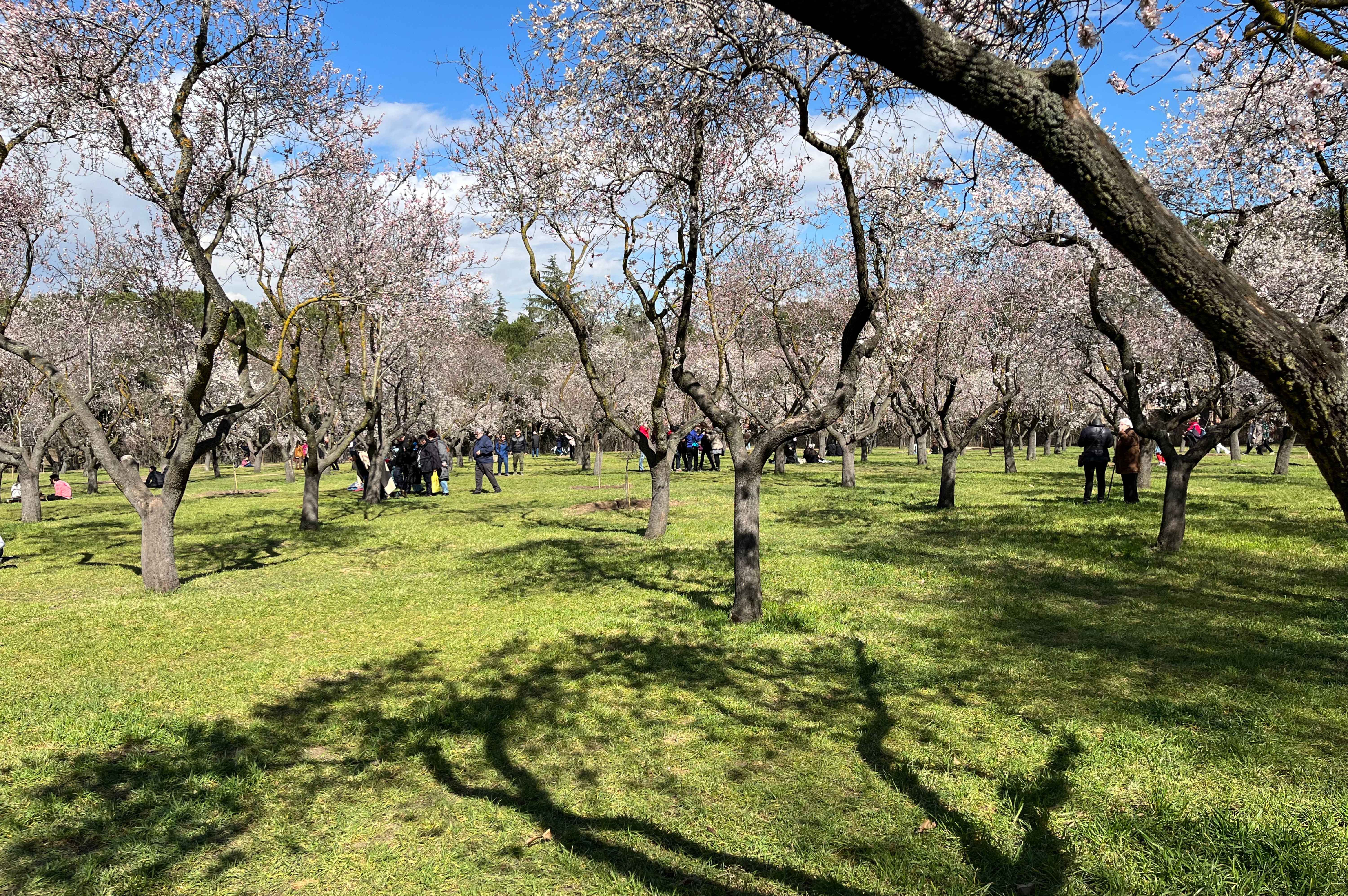 Spain in spring