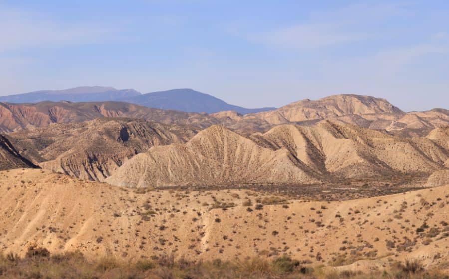 Tabernas