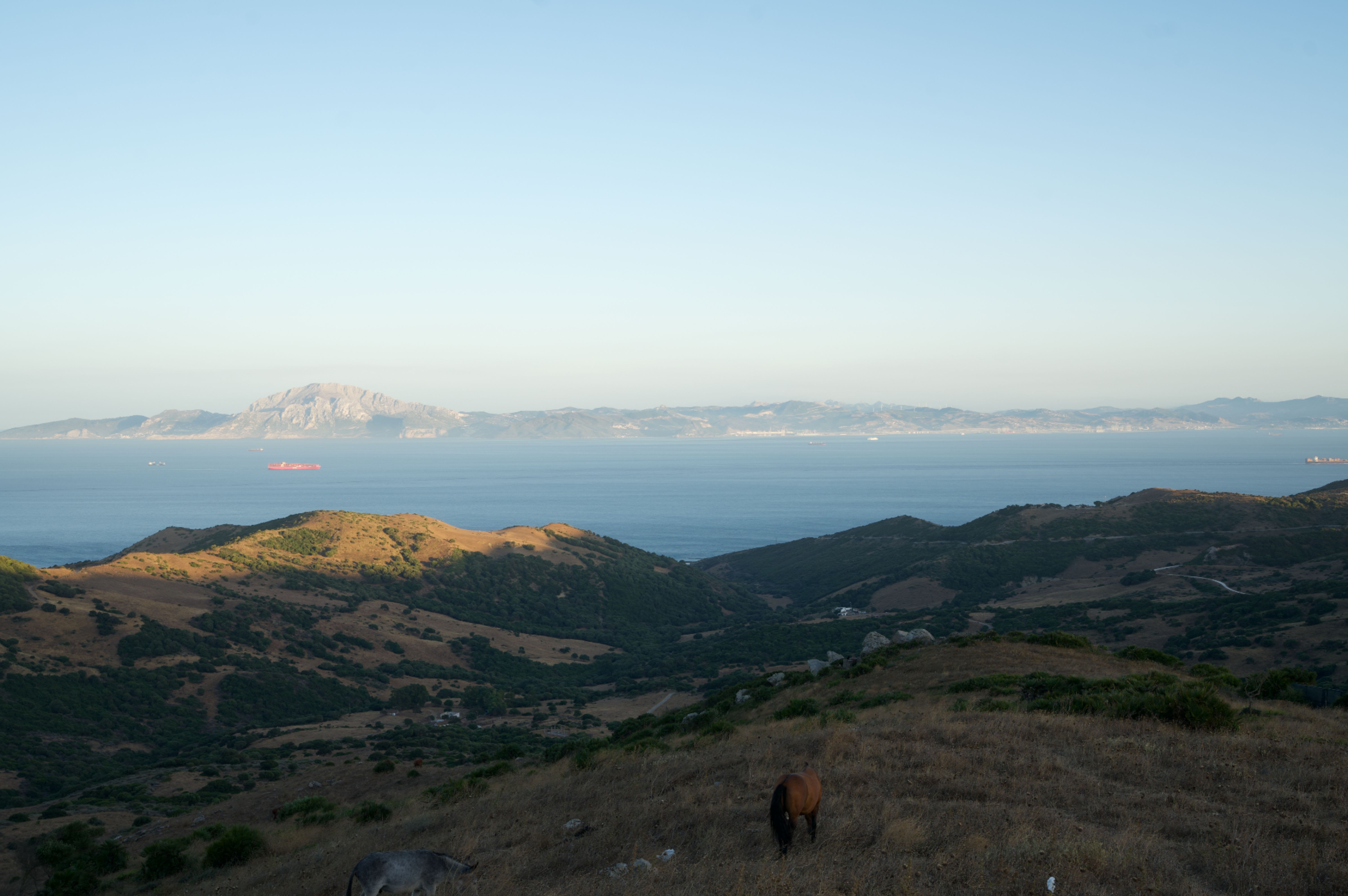 tarifa landscape horse mountain view