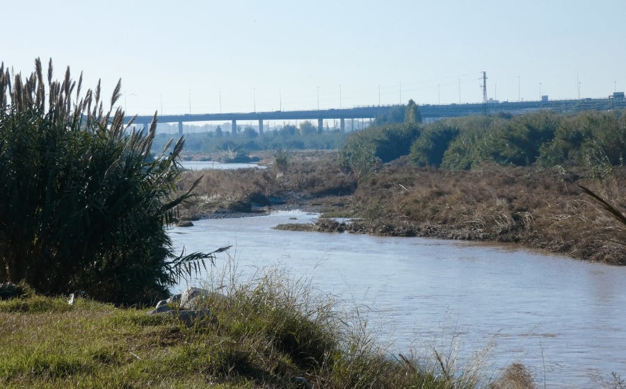 lobregatriver