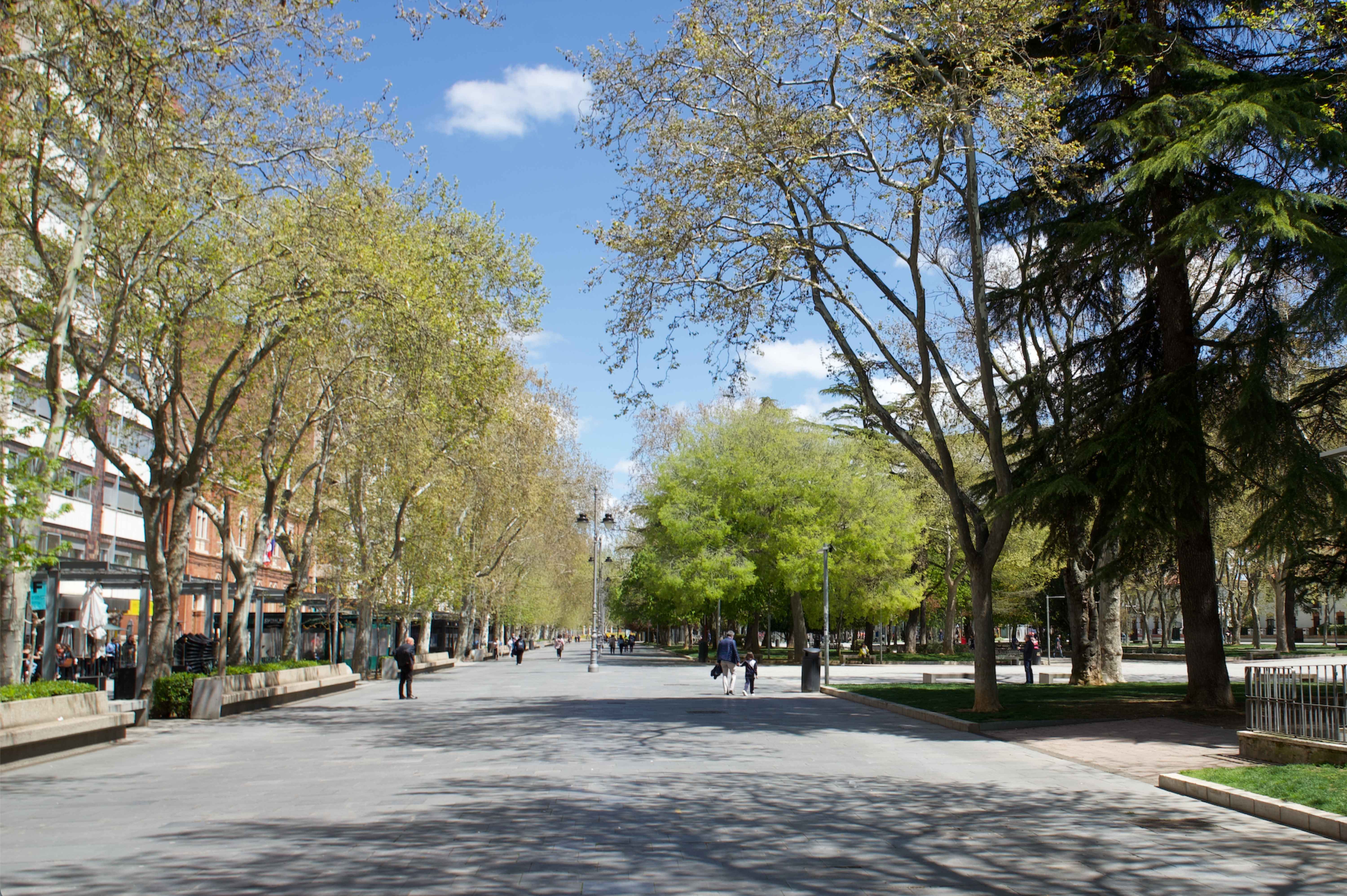 what is palencia