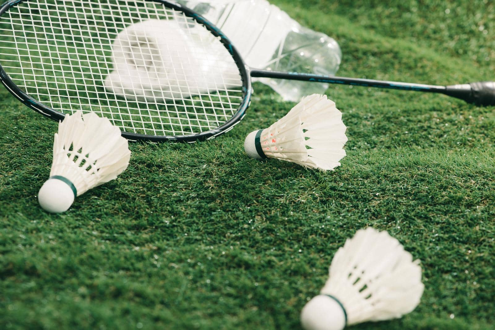 Badminton in Spain