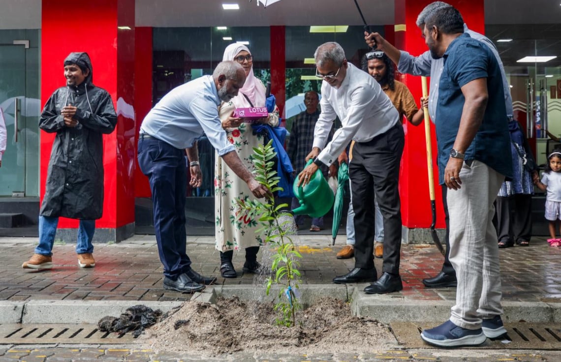 ދިވެހި ރުކާއި ހައިވަކަރު ގަހާ އެކު ވިލިމާލޭގައި 500 ގަސް އިންދައިފި