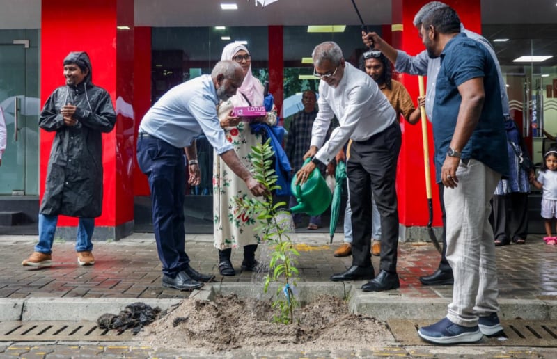 ދިވެހި ރުކާއި ހައިވަކަރު ގަހާ އެކު ވިލިމާލޭގައި 500 ގަސް އިންދައިފި