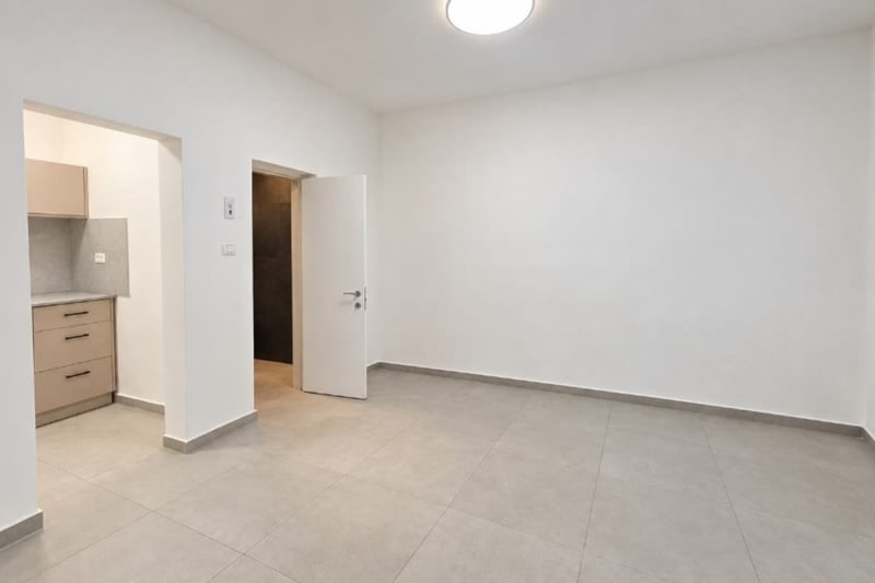 Renovated one-room apartment with balcony!