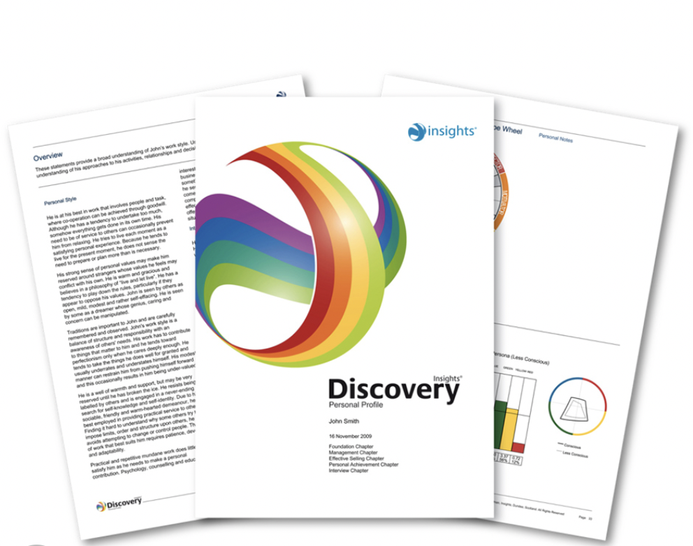 Voorbeeld van een persoonlijk Insights Discovery profiel
