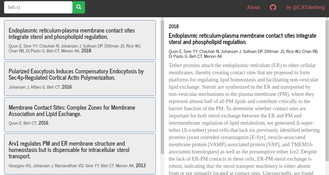 Screenshot of the application