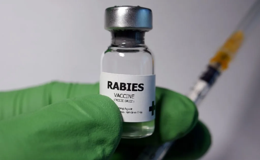 Street Dog Rabies Vaccine