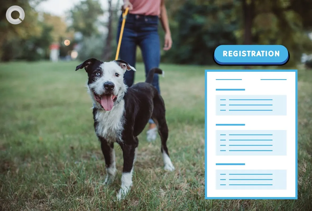 Pet Registration in Delhi