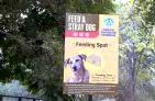 All Official Dog Feeding Points in Chandigarh (Sector-Wise)