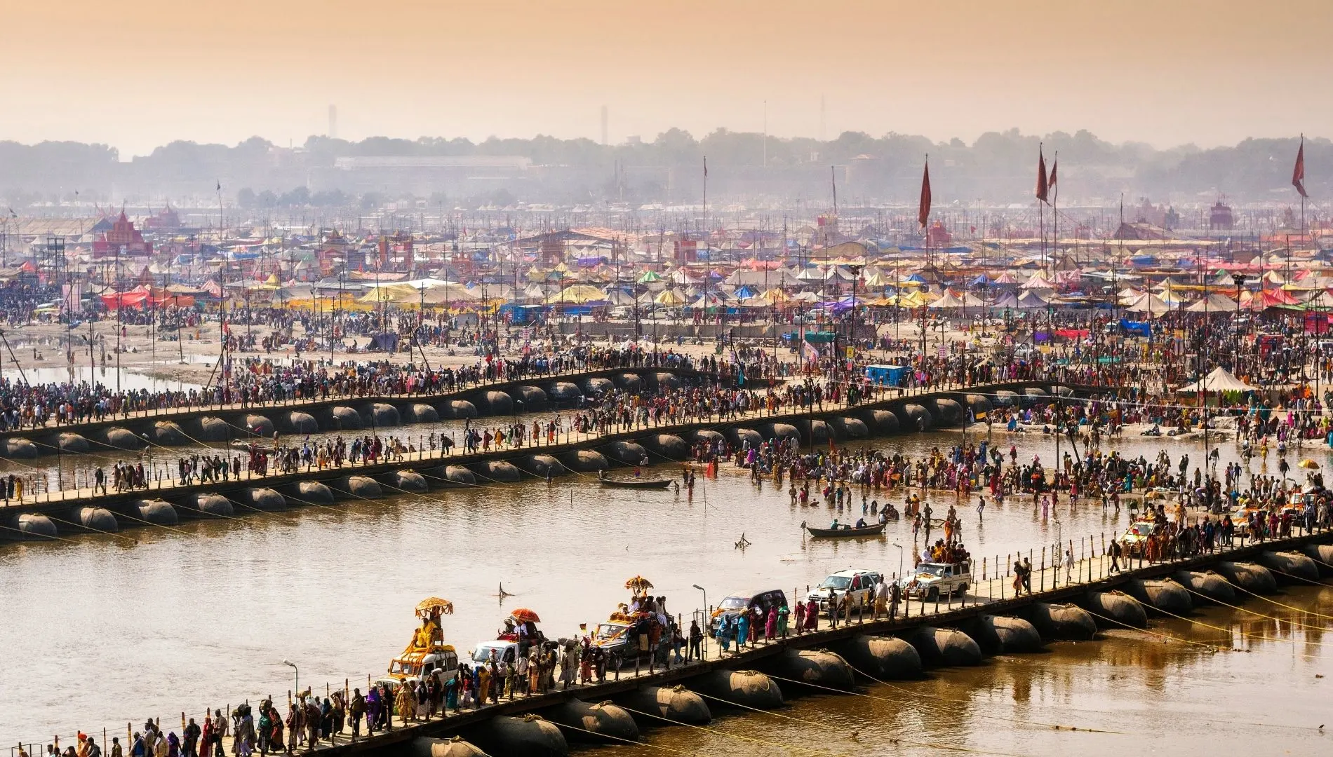 Register your Dog and other Pet in allahabad