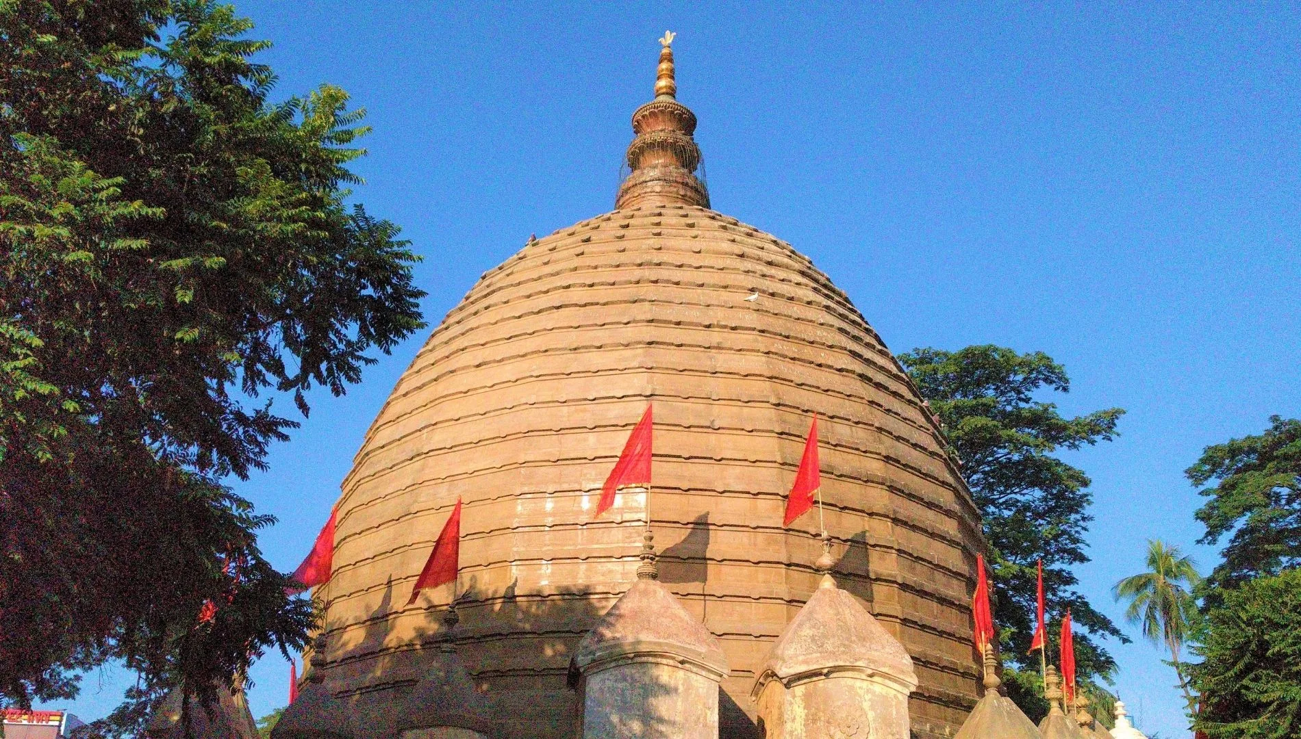 Register your Dog and other Pet in Guwahati