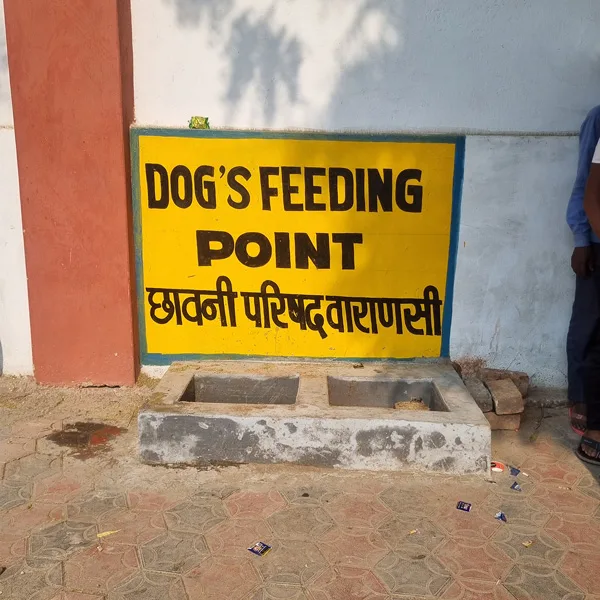 A stray Dog feeding Point in Varanasi A stray Dog feeding Point in Varanasi