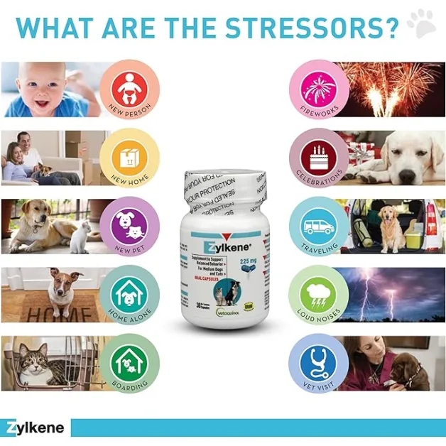 Zylkene Capsules (Vetoquinol) in fits