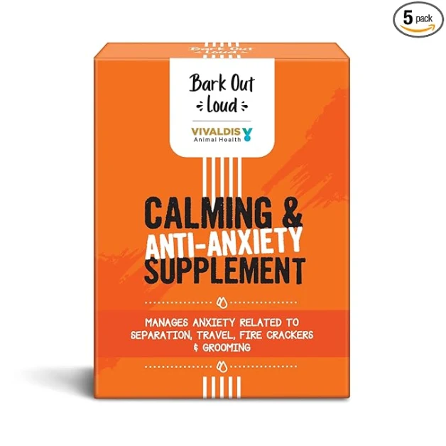 Stress-Induced Fits in Dogs: Causes, Signs & Natural Treatments