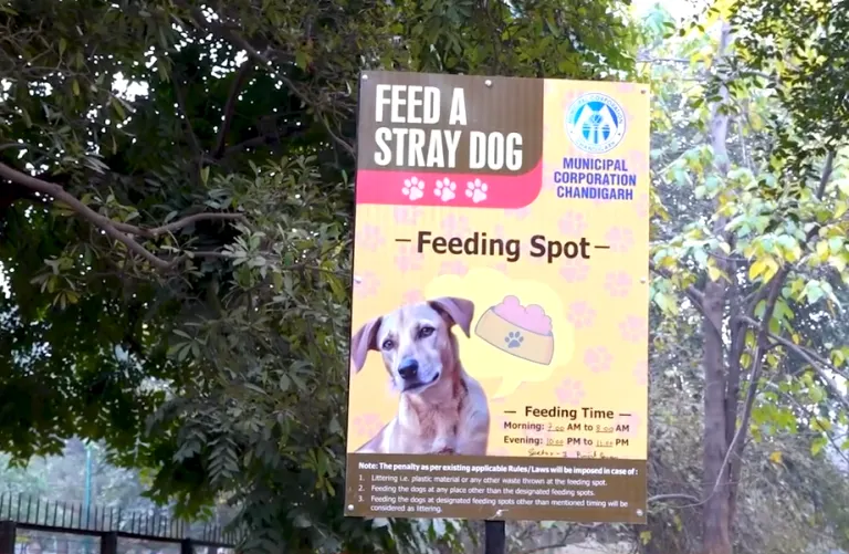 All Official Dog Feeding Points in Chandigarh (Sector-Wise)