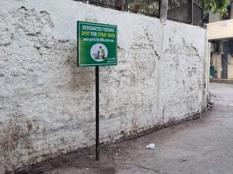 feeding-points-delhi