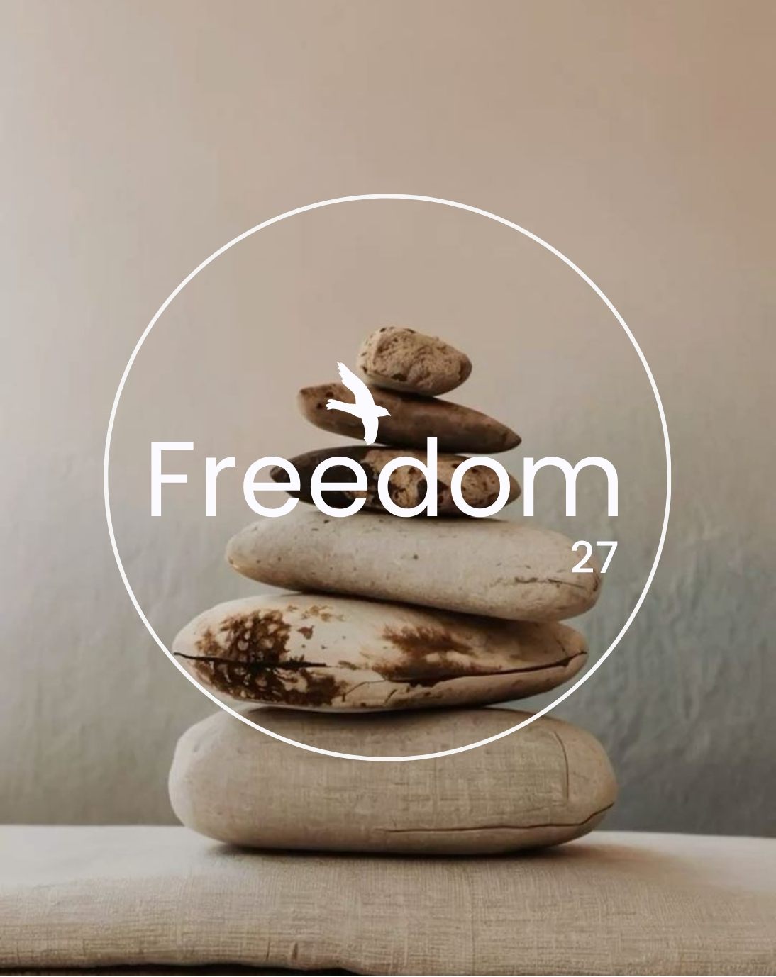 Freedom 27