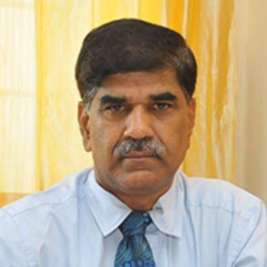card-image